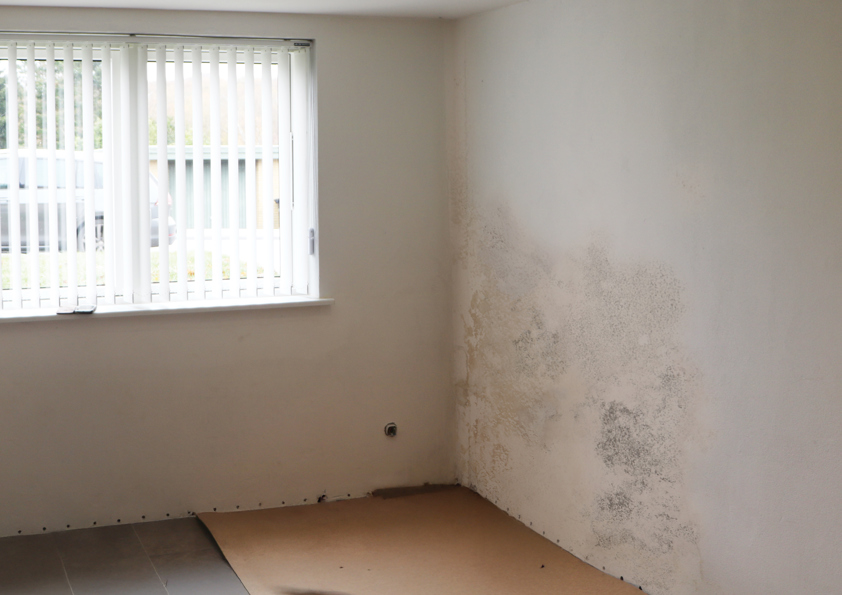 Hemmersvej Web Case 2400X1600px12